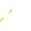 Adient plc Ordinary Shares Share Price